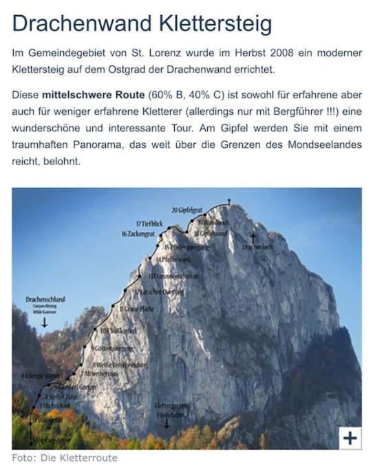 Tanjas Gemuetliches Haus Am Mondsee Innerschwand Ngoại thất bức ảnh